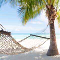 Beach hammock under a palm tree