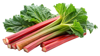 resh-rhubarb-stalks-with-green-leaves-on-display isolated on white background
