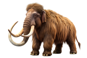 Realistic illustration of woolly mammoth isolated on transparent background, extinct prehistoric animal with long curved tusks and thick fur