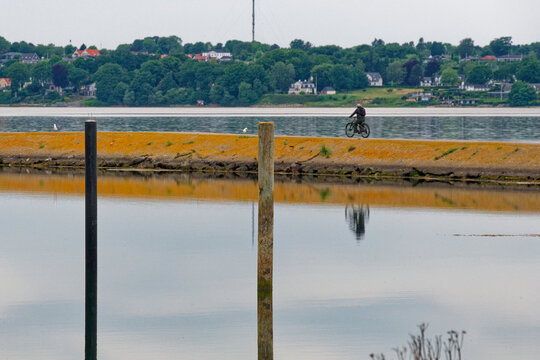 Cyclist rides along a wide stone pier with resting gulls - Powered by Adobe