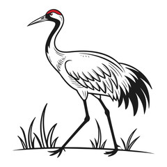 whooping-crane-vector-