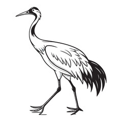 whooping-crane-vector-