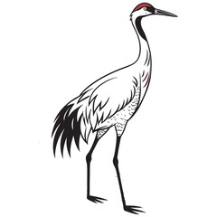 whooping-crane-vector-