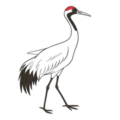 whooping-crane-vector-