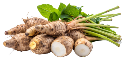 Freshly harvested jerusalem artichokes with green leaves isolated on transparent background