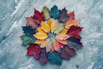 Colorful autumn leaves arranged in a beautiful circular pattern on cool grey marble, showcasing fall's diverse and rich natural palette.