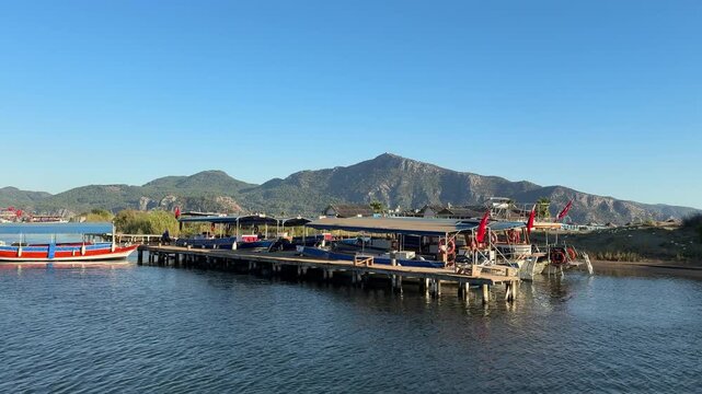 A boat tour among the reeds on the Dalyan River. Ortaca, Muğla
