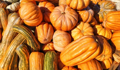 pumpkin display on the street