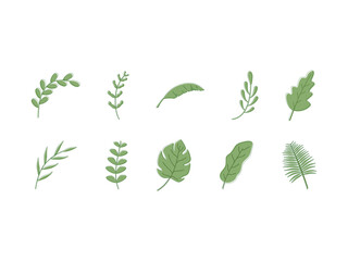 Aesthetic Leaf Illustration
