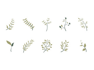 Aesthetic Leaf Minimalist