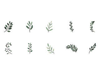 Aesthetic Tropical Leaves