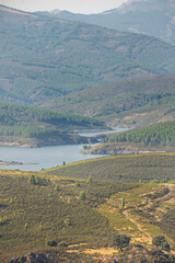 Summer panorama showing different shades of green in the mountain vegetation depending on the altitude and sun exposure