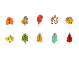 Autumn Bright Leaves