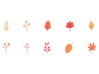 Autumn Leaf Vector