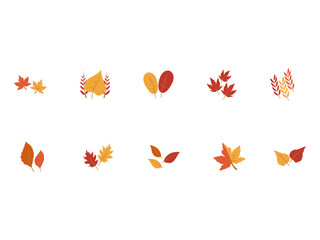 Autumn Leaves Illustration