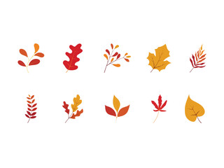 Autumn Leavs Illustration
