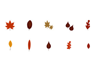 Autumn Leaves Vector
