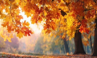 Autumn leaves, vibrant hues of gold and red, glow under a sunlit sky, forest background