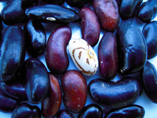 Close up view of black, brown and white beans.