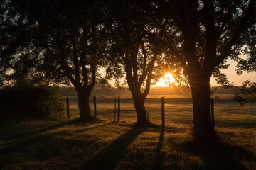 Summer sunset campaign under trees 1 (Coucher de soleil dans la campagne sous les arbres 1)