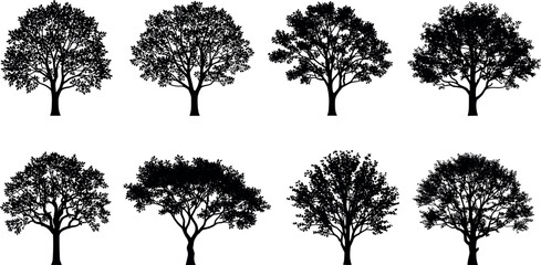 Set of black tree silhouettes with diverse shapes and canopy styles for nature, landscape, botany, and architectural design projects.