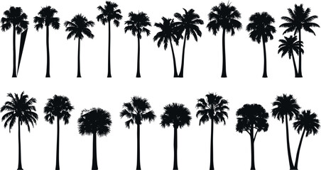 Obraz premium Silhouette Collection of Diverse Palm Trees in Tropical Landscape, Botanical Garden Elements for Nature, Travel, and Exotic Jungle Design Themes