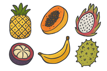 Set of hand-drawn exotic fruits including pineapple, papaya, mangosteen, banana, dragon fruit, and spiky fruit on transparent background. Food illustration for design element.