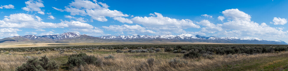 Panoramic View of Nevada Desert Scrubland with Snow-Capped Mountains and Partly Cloudy Spring Sky