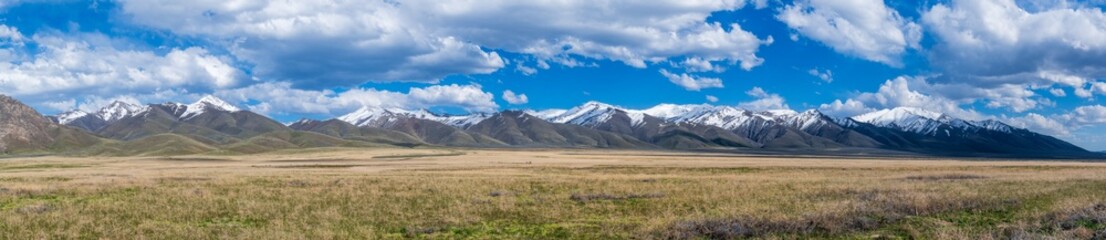 Panoramic View of Nevada Desert Scrubland with Snow-Capped Mountains and Partly Cloudy Spring Sky