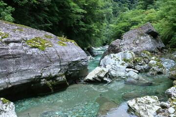 安居渓谷へ涼を求めて　夏　（高知県　仁淀川町）