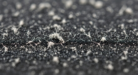 Extreme Close Up Macro Shot of Dust Particles on a Dark Textured Surface.