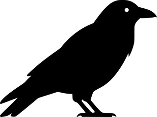 Obraz premium crow glyph flat vector icon 