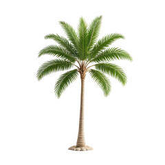 Obraz premium Isolated lush palm tree, green fronds, brown trunk, against a black background