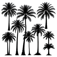 Silhouette of nine palm trees against black background