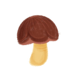 Brown Wild Mushroom Cap Illustration – Edible Fungi Drawing Vector for Botanical, Organic Food, and Nature Design Elements
