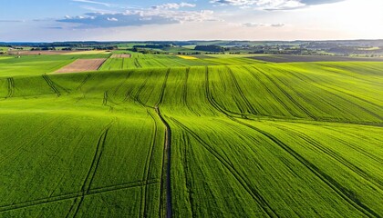Obraz premium Aerial View of Lush Green Fields and Distant Horizon on a Sunny Day Under Blue Skies Agriculture Landcape Wide Angle Rural Scene