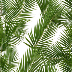 Fototapeta premium Lush green palm leaves overlapping, tropical vibes, a dense pattern