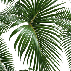 Fototapeta premium Lush, glossy green palm fronds against black. Nature's beauty, texture