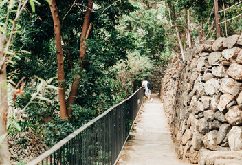 A man stands on a path with railings surrounded by vegetation.