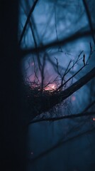 A close-up of a bird's nest nestled in bare winter branches at dusk, with a fiery sky