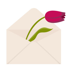 Tulip in an envelope. Vector illustration isolated on white background.
