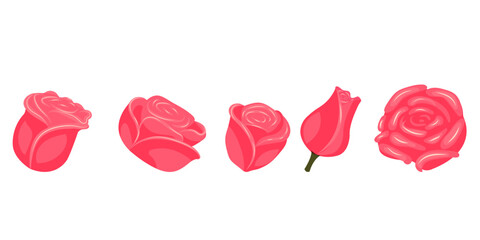 Set of bright pink roses for your design. Vector illustration isolated on white background.