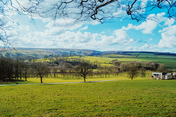 Scenic countryside view in rural England with wildlife and animals. 