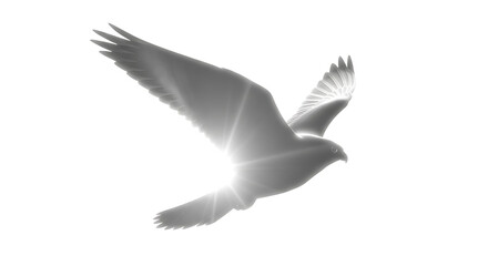 Obraz premium Majestic eagle soaring majestically with sunbeams highlighting its powerful wings