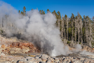 Steamboat Geyser. Back Basin at Norris Geyser Basin. Yellowstone National Park , Wyoming. Hydrothermal System
