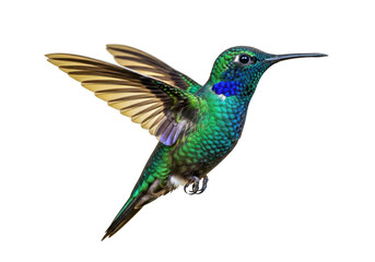 Vibrant green hummingbird with iridescent plumage in flight isolated on transparent background