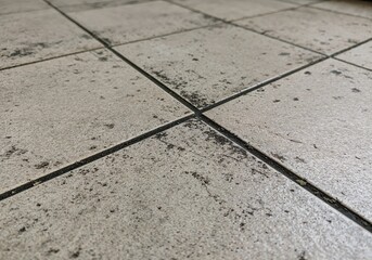 Fototapeta premium Textured Tile Floor: A close-up shot reveals a pattern of aged ceramic tiles, each tile's surface etched with subtle textures and variations, forming a grid pattern on a flat plane.