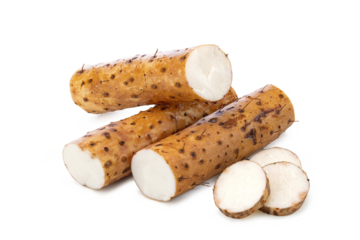 several Chinese yams (Dioscorea polystachya) on white background.