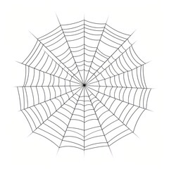 Obraz premium Intricate spider web illustration