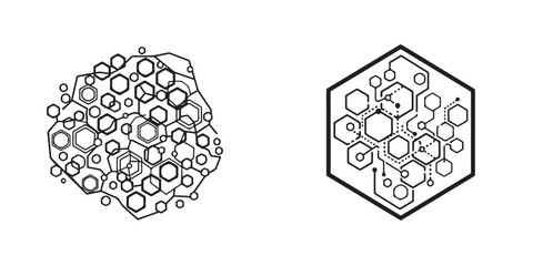 Intricate Hexagonal Network Illustrations: Organic and Structured Designs
